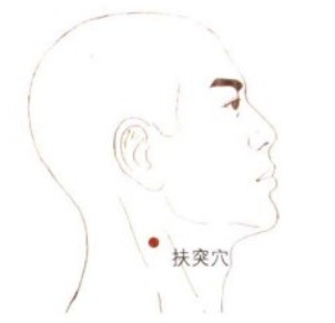 精确定位:扶突穴在胸锁乳突区,横平喉结,胸锁乳突肌的前,后缘中间.